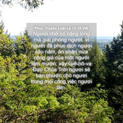 Picture 04 - Phục Truyền Luật Lệ 15:18 VIE - Ngươi chớ có nặng lòng mà giải phóng - Bible Verse Picture