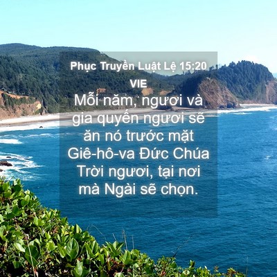 Picture 04 - Phục Truyền Luật Lệ 15:20 VIE - Mỗi năm, ngươi và gia quyến ngươi sẽ - Bible Verse Picture