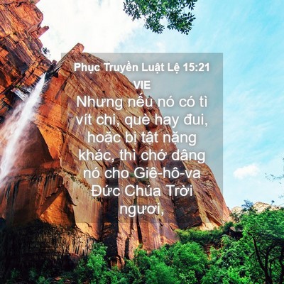 Picture 04 - Phục Truyền Luật Lệ 15:21 VIE - Nhưng nếu nó có tì vít chi, què hay đui, - Bible Verse Picture