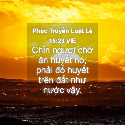 Picture 04 - Phục Truyền Luật Lệ 15:23 VIE - Chỉn ngươi chớ ăn huyết nó; phải - Bible Verse Picture