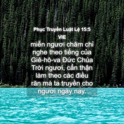 Picture 04 - Phục Truyền Luật Lệ 15:5 VIE - miễn ngươi chăm chỉ nghe theo tiếng - Bible Verse Picture