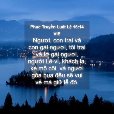 Picture 04 - Phục Truyền Luật Lệ 16:14 VIE - Ngươi, con trai và con gái ngươi, tôi trai - Bible Verse Picture