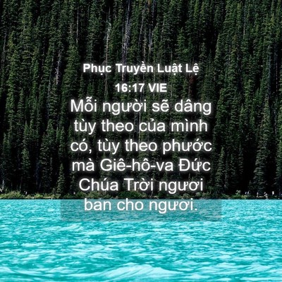 Picture 04 - Phục Truyền Luật Lệ 16:17 VIE - Mỗi người sẽ dâng tùy theo của mình - Bible Verse Picture