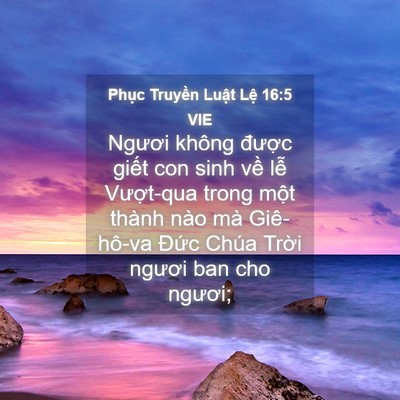 Picture 04 - Phục Truyền Luật Lệ 16:5 VIE - Ngươi không được giết con sinh về lễ - Bible Verse Picture