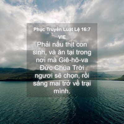 Picture 04 - Phục Truyền Luật Lệ 16:7 VIE - Phải nấu thịt con sinh, và ăn tại trong - Bible Verse Picture