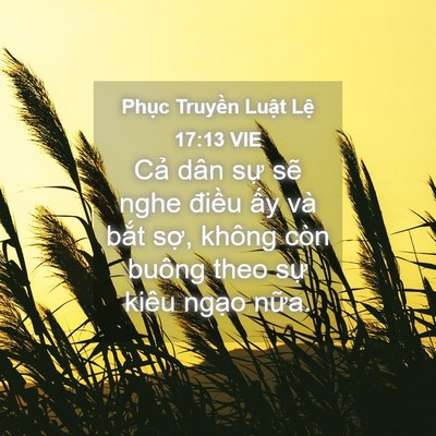 Picture 04 - Phục Truyền Luật Lệ 17:13 VIE - Cả dân sự sẽ nghe điều ấy và bắt - Bible Verse Picture