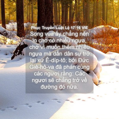 Picture 04 - Phục Truyền Luật Lệ 17:16 VIE - Song vua ấy chẳng nên lo cho có nhiều - Bible Verse Picture