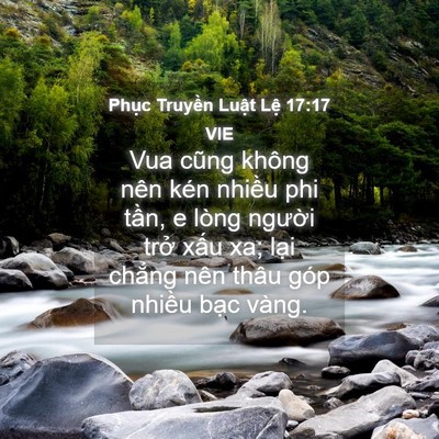 Picture 04 - Phục Truyền Luật Lệ 17:17 VIE - Vua cũng không nên kén nhiều phi tần, e - Bible Verse Picture
