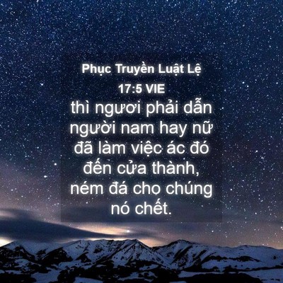 Picture 04 - Phục Truyền Luật Lệ 17:5 VIE - thì ngươi phải dẫn người nam hay nữ - Bible Verse Picture
