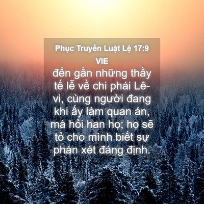 Picture 04 - Phục Truyền Luật Lệ 17:9 VIE - đến gần những thầy tế lễ về chi - Bible Verse Picture