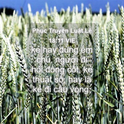 Picture 04 - Phục Truyền Luật Lệ 18:11 VIE - kẻ hay dùng ếm chú, người đi hỏi - Bible Verse Picture