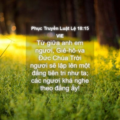 Picture 04 - Phục Truyền Luật Lệ 18:15 VIE - Từ giữa anh em ngươi, Giê-hô-va Đức - Bible Verse Picture