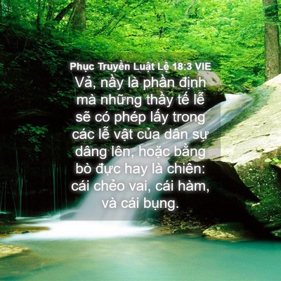 Picture 04 - Phục Truyền Luật Lệ 18:3 VIE - Vả, nầy là phần định mà những thầy - Bible Verse Picture