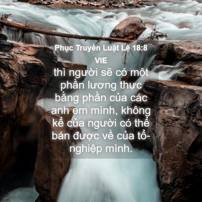 Picture 04 - Phục Truyền Luật Lệ 18:8 VIE - thì người sẽ có một phần lương - Bible Verse Picture