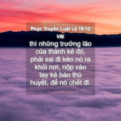 Picture 04 - Phục Truyền Luật Lệ 19:12 VIE - thì những trưởng lão của thành kẻ - Bible Verse Picture
