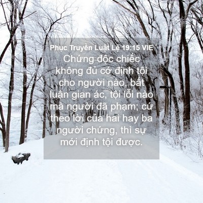 Picture 04 - Phục Truyền Luật Lệ 19:15 VIE - Chứng độc chiếc không đủ cớ định - Bible Verse Picture