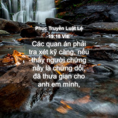 Picture 04 - Phục Truyền Luật Lệ 19:18 VIE - Các quan án phải tra xét kỹ càng, nếu - Bible Verse Picture