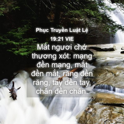 Picture 04 - Phục Truyền Luật Lệ 19:21 VIE - Mắt ngươi chớ thương xót: mạng đền - Bible Verse Picture