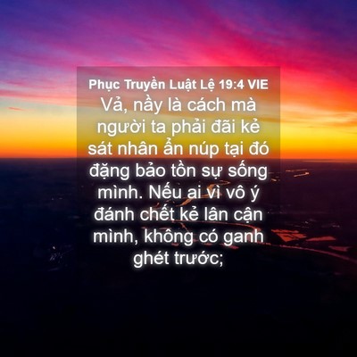 Picture 04 - Phục Truyền Luật Lệ 19:4 VIE - Vả, nầy là cách mà người ta phải - Bible Verse Picture
