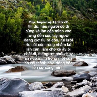 Picture 04 - Phục Truyền Luật Lệ 19:5 VIE - thí dụ, nếu người đó đi cùng kẻ - Bible Verse Picture