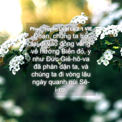 Picture 04 - Phục Truyền Luật Lệ 2:1 VIE - Đoạn, chúng ta trở lại đi vào đồng - Bible Verse Picture