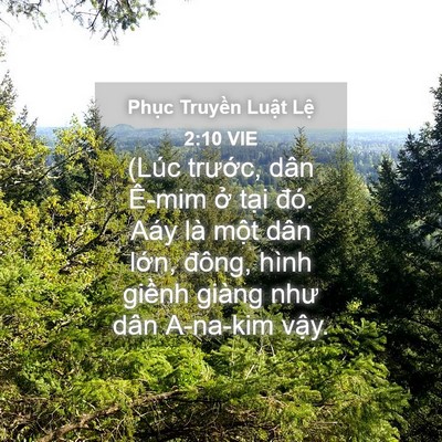 Picture 04 - Phục Truyền Luật Lệ 2:10 VIE - (Lúc trước, dân Ê-mim ở tại đó. Aáy - Bible Verse Picture