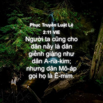 Picture 04 - Phục Truyền Luật Lệ 2:11 VIE - Người ta cũng cho dân nầy là dân giềnh - Bible Verse Picture