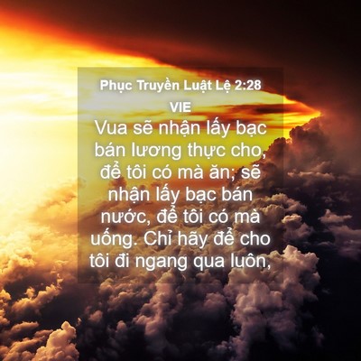 Picture 04 - Phục Truyền Luật Lệ 2:28 VIE - Vua sẽ nhận lấy bạc bán lương thực - Bible Verse Picture