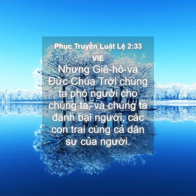 Picture 04 - Phục Truyền Luật Lệ 2:33 VIE - Nhưng Giê-hô-va Đức Chúa Trời chúng ta - Bible Verse Picture
