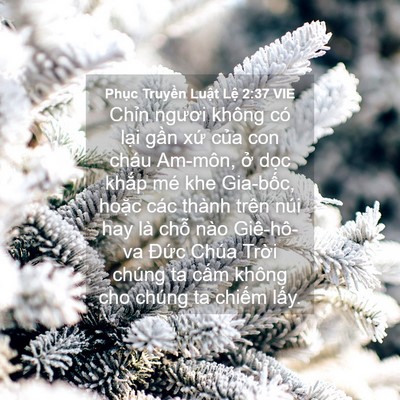 Picture 04 - Phục Truyền Luật Lệ 2:37 VIE - Chỉn ngươi không có lại gần xứ của - Bible Verse Picture