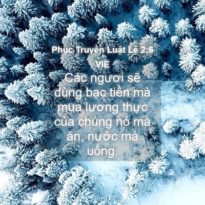Picture 04 - Phục Truyền Luật Lệ 2:6 VIE - Các ngươi sẽ dùng bạc tiền mà mua - Bible Verse Picture