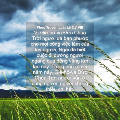 Picture 04 - Phục Truyền Luật Lệ 2:7 VIE - Vì Giê-hô-va Đức Chúa Trời ngươi đã - Bible Verse Picture