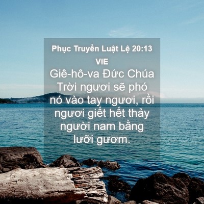 Picture 04 - Phục Truyền Luật Lệ 20:13 VIE - Giê-hô-va Đức Chúa Trời ngươi sẽ phó - Bible Verse Picture