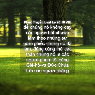 Picture 04 - Phục Truyền Luật Lệ 20:18 VIE - để chúng nó không dạy các ngươi bắt - Bible Verse Picture