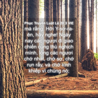 Picture 04 - Phục Truyền Luật Lệ 20:3 VIE - mà rằng: Hỡi Y-sơ-ra-ên, hãy nghe! Ngày - Bible Verse Picture