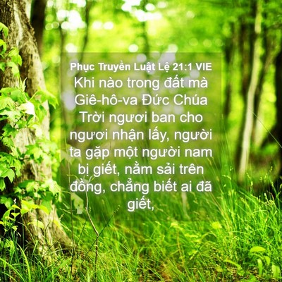 Picture 04 - Phục Truyền Luật Lệ 21:1 VIE - Khi nào trong đất mà Giê-hô-va Đức - Bible Verse Picture