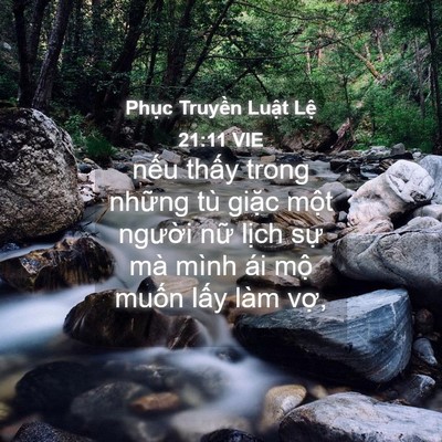 Picture 04 - Phục Truyền Luật Lệ 21:11 VIE - nếu thấy trong những tù giặc một - Bible Verse Picture