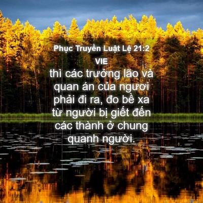 Picture 04 - Phục Truyền Luật Lệ 21:2 VIE - thì các trưởng lão và quan án của - Bible Verse Picture