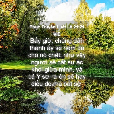 Picture 04 - Phục Truyền Luật Lệ 21:21 VIE - Bấy giờ, chúng dân thành ấy sẽ ném - Bible Verse Picture