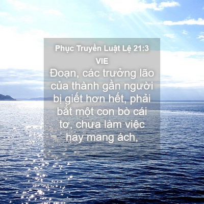 Picture 04 - Phục Truyền Luật Lệ 21:3 VIE - Đoạn, các trưởng lão của thành gần - Bible Verse Picture