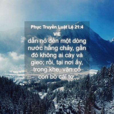 Picture 04 - Phục Truyền Luật Lệ 21:4 VIE - dẫn nó đến một dòng nước hằng - Bible Verse Picture