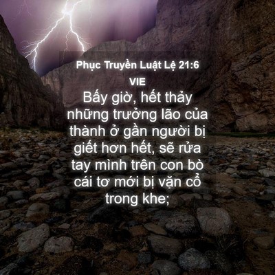Picture 04 - Phục Truyền Luật Lệ 21:6 VIE - Bấy giờ, hết thảy những trưởng lão - Bible Verse Picture