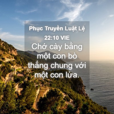Picture 04 - Phục Truyền Luật Lệ 22:10 VIE - Chớ cày bằng một con bò thắng chung - Bible Verse Picture