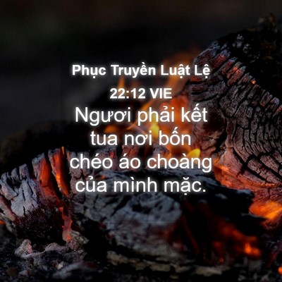Picture 04 - Phục Truyền Luật Lệ 22:12 VIE - Ngươi phải kết tua nơi bốn chéo áo - Bible Verse Picture
