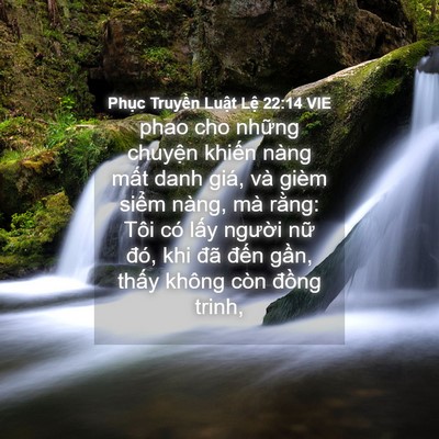 Picture 04 - Phục Truyền Luật Lệ 22:14 VIE - phao cho những chuyện khiến nàng mất - Bible Verse Picture