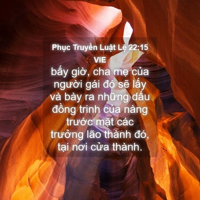 Picture 04 - Phục Truyền Luật Lệ 22:15 VIE - bấy giờ, cha mẹ của người gái đó - Bible Verse Picture