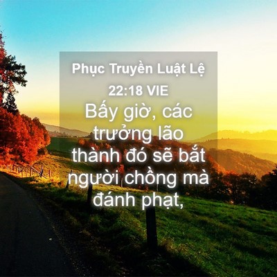 Picture 04 - Phục Truyền Luật Lệ 22:18 VIE - Bấy giờ, các trưởng lão thành đó sẽ - Bible Verse Picture