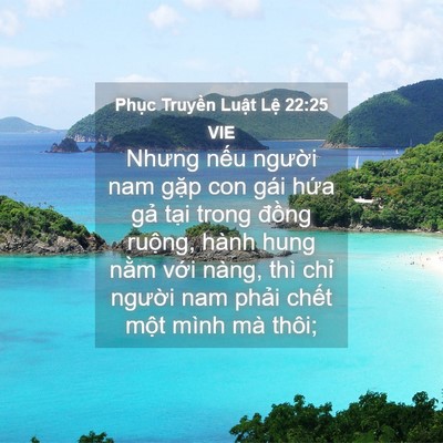 Picture 04 - Phục Truyền Luật Lệ 22:25 VIE - Nhưng nếu người nam gặp con gái hứa - Bible Verse Picture