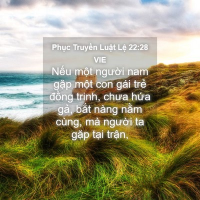 Picture 04 - Phục Truyền Luật Lệ 22:28 VIE - Nếu một người nam gặp một con gái - Bible Verse Picture