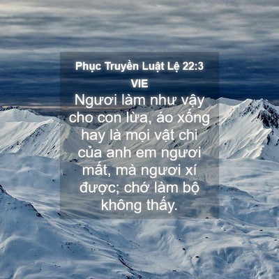 Picture 04 - Phục Truyền Luật Lệ 22:3 VIE - Ngươi làm như vậy cho con lừa, áo xống - Bible Verse Picture